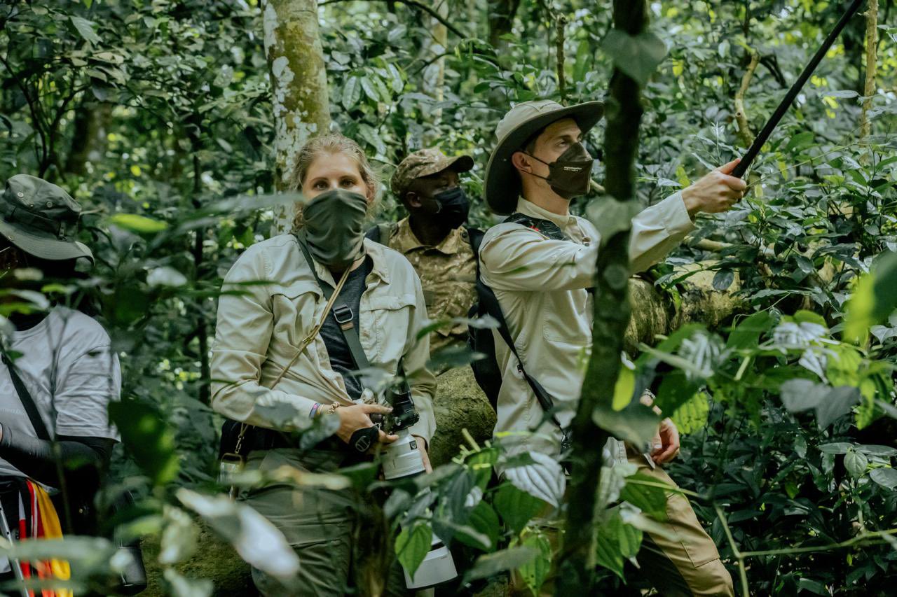 Rangers and guides with visitors in the forest