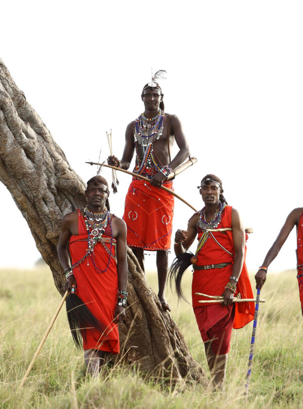 Maasai warriors standing beside an acacia tree in the Masai Mara, Kenya