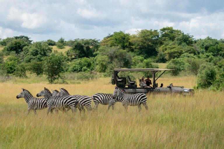 8 Days from the Virungas to the Rift Valley: Rwanda & Uganda Safari.