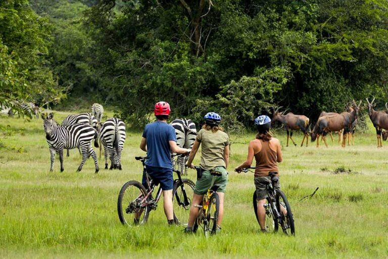 5-Day Uganda Safari: Mburo, Gorillas & Bunyonyi.