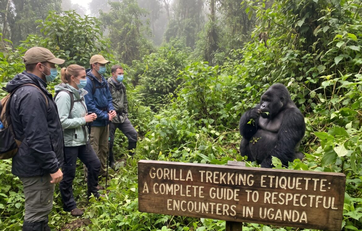 Gorilla_trekking_guide